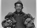 Richard Kobayashi, farmer with cabbages, Manzanar Relocation Center, California