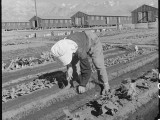 2 July 1942. Manzanar Relocation Center, Manzanar, California. Evacuee in her "hobby garden" which rates highest of all the garden plots at this War Relocation Authority center. Vegetables for their own use are grown in plots 10 x 50 feet between rows of barracks. National Archives, 537984.